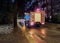 Έπεσε δέντρο στην οδό Σχολείου λόγω της βροχόπτωσης